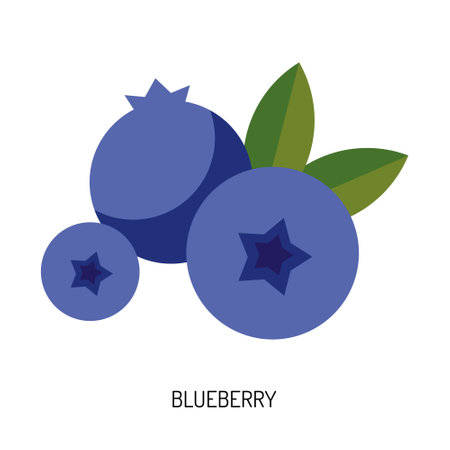 Juicy blueberry isolated on a white background. Vector illustration of berries for designのイラスト素材