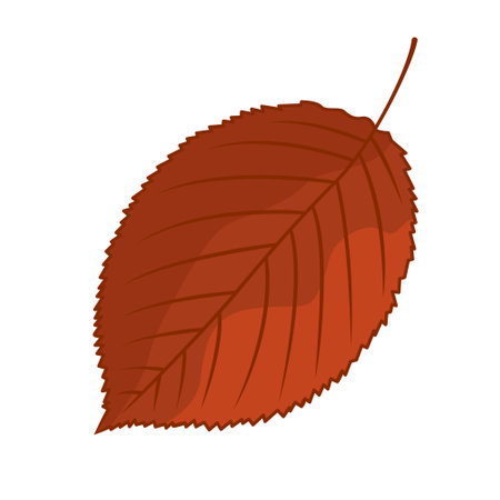 A fallen autumn leaf. The concept of autumn. Vector cartoon illustrationのイラスト素材