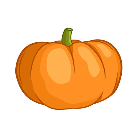 Orange pumpkin vector illustration.のイラスト素材