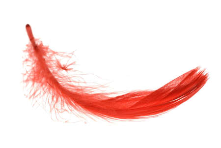 red feather flying objectの写真素材