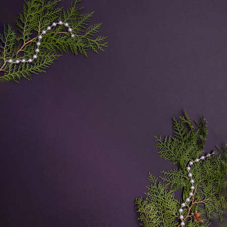 Evergreen twigs with silver beads on a black background. Aesthetic flat lay concept.の写真素材