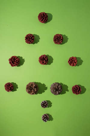 Cones in the shape of a Christmas tree with strong shadows on a light green background. Flat lay scene.の写真素材