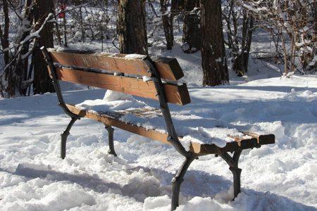 A wooden bench blanketed in snowの写真素材