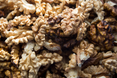 Walnuts arranged in a natural display.の写真素材