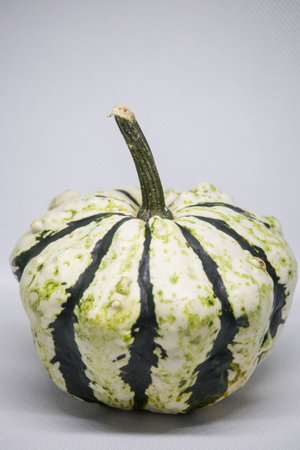 A vibrant green and white striped pumpkin sits proudly among a fall harvest of fresh produce, its unique hue and bold pattern standing out like a beacon of joy and bountyの写真素材