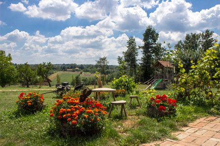 A summer playground set amidst a lush garden of vibrant plants and trees, inviting one to explore the clouds in the sky and feel the beauty of natureの写真素材