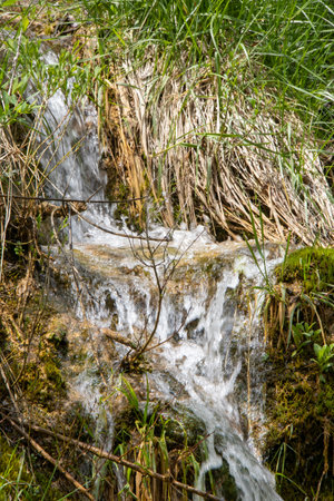 Water trickles gracefully over rocks in a serene forest setting, surrounded by vibrant greenery and fresh grass, capturing the essence of spring's beauty.の写真素材