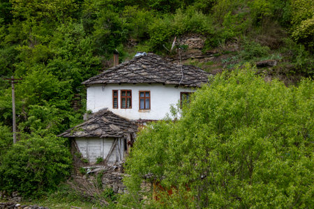 A rustic house with a unique stone roof is set against a backdrop of vibrant greenery and hills. The serene environment highlights nature's beauty and tranquility.の写真素材