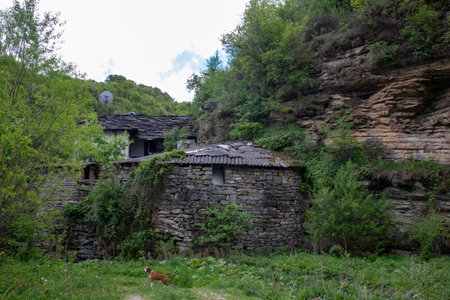 Stone houses nestled against a rocky hillside are overgrown with greenery under a bright sky, creating a peaceful atmosphere. A dog roams nearby, enhancing the secluded charm.の写真素材