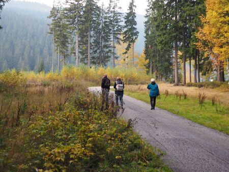 autumn walkの写真素材
