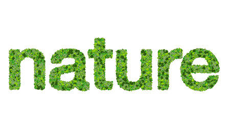 Word nature made from green leaves on gradient background.の写真素材