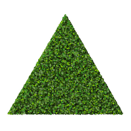 Triangle made from green leaves isolated on white background. 3D render.の写真素材
