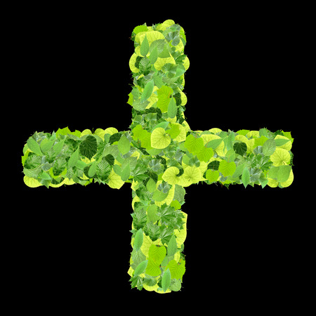 Plus sign made from green leaves isolated on white background. 3D render.の写真素材