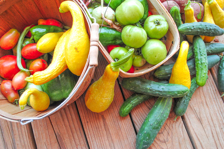 baskets of farm fresh organic vegetables on wooden table の写真素材