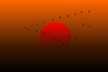 Birds Flying Triangle Sunsetのイラスト素材