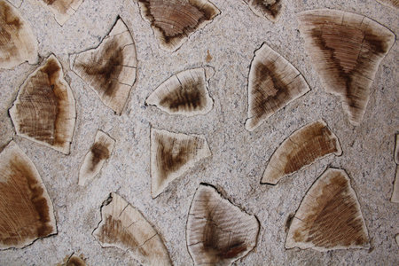 cordwood wall of wood and stone from Hautes Alpesの写真素材