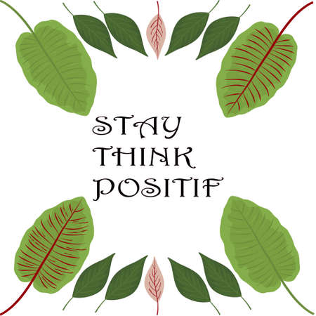 Quote stay positif leaf backround. Vector illustration. Green plants, exotic leaves, banana leaf, areca palm, botany, flora. Tropical frame, place for your text. White background isolated. Card designのイラスト素材