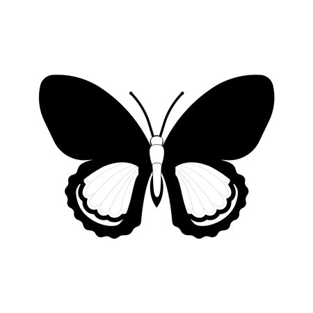 Butterfly set graphic black white isolated sketch illustration vector. Modern seamless pattern of monarch butterfly contours on white background for decoration design. Closeup desiのイラスト素材