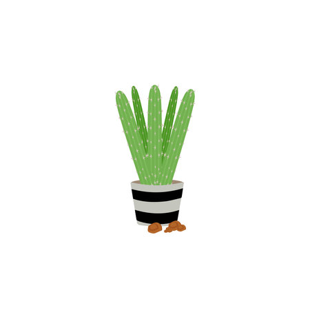Cactus icons in a flat style on a white background. Home plants cactus in pots and with flowers. A variety of decorative cactus with prickles and without.のイラスト素材