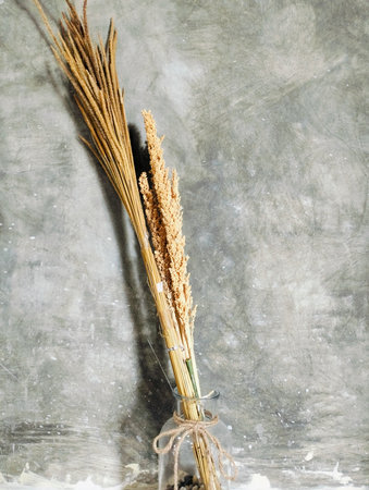 Dried flowers in the vase, Beautiful dried flower arrangement in a stylish glass vase, Still life of a bouquet of dried flowers in a glass bottleの写真素材
