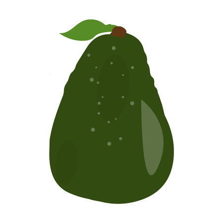 Avocado food icon. Avocado fruit whole and half isolated on white background. Summer tropical fruits for healthy lifestyle. Vector illustration in flat styleのイラスト素材