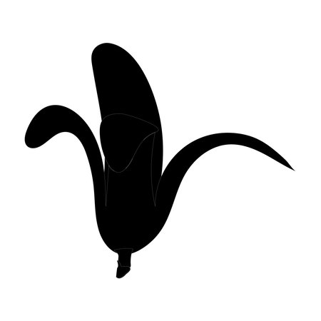 Banana black outline and silhouette icon design vector illustration, single fruit, summer symbol on white background.のイラスト素材