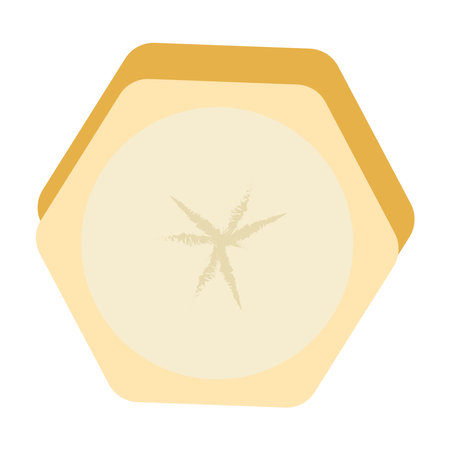 Banana slices illustration of various sizes and angles. Chopped banana pieces with peel and without peel, design icon vector illustration.のイラスト素材