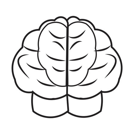 Human brain icon with editable stroke, Simple brain diagram illustrationのイラスト素材