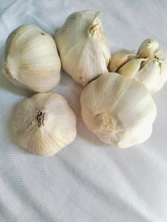 Fresh whole garlic bulbs on white fabric background as natural cooking ingredient and food textureの写真素材