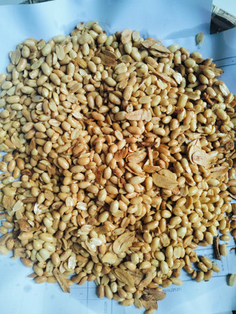 Roasted peanuts mixed with garlic as a traditional savory snack with crunchy texture and natural...