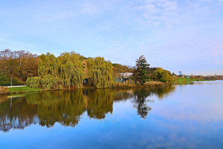 Forest lake in the autumn forest on a bright sunny dayの写真素材