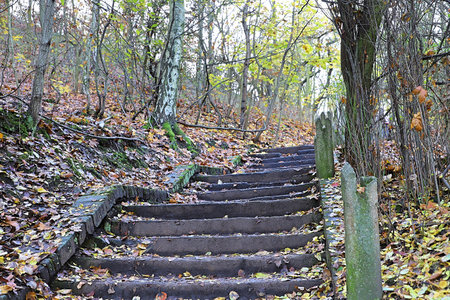 An old dilapidated staircase in the autumn forestの写真素材