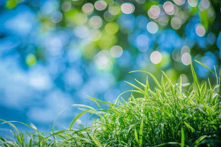 World environment day theme abstract background of green grass and blue sky with bokeh effectsの素材