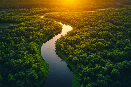 Aerial view of a serene summer river surrounded by lush green forest at sunset in Russiaの写真素材