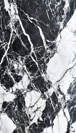 Elegant black and white marble texture featuring natural veins and professional color gradingの写真素材