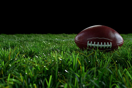 Vast american football field in stadium, perfect for personalized text placement and customizationの写真素材