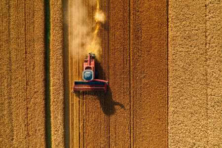 A sweeping aerial shot captures a vivid red harvester amidst golden wheat, basking in warm sunset...