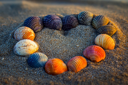 Vibrant seashells carefully positioned to form a tender heart on soft sand, evoking warmth, romance,...