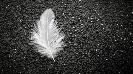 A delicate white feather rests against a dark, textured surface, evoking elegance and contrast, ideal for themes of purity, lightness, or mystery.の写真素材