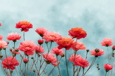 Bright pink and fiery orange daisies bloom vividly, set against a gentle blue sky, radiating cheerful energy and natural beauty for uplifting designs.の写真素材