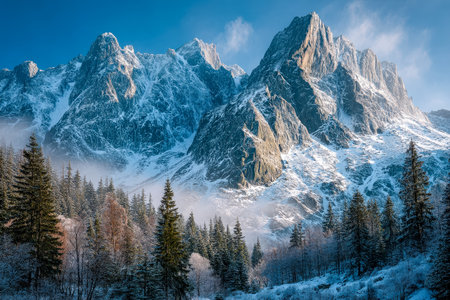 Majestic icy summits pierce the sky, casting shadows over the dense, frosted woodland below, evoking serenity and wild winter grandeur.の写真素材