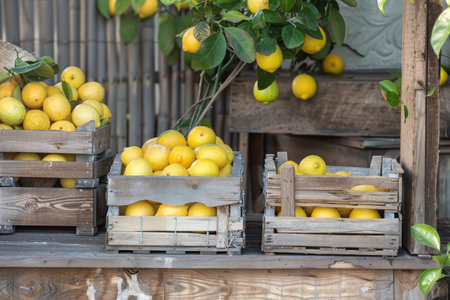 Fresh vibrant lemons in wooden crates - vintage farmhouse table decor for refreshing summer vibesの写真素材