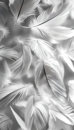 Fine, wispy feathers displayed in soft grayscale tones, revealing intricate barbs and a serene, ethereal atmosphere suitable for delicate, artistic thの写真素材