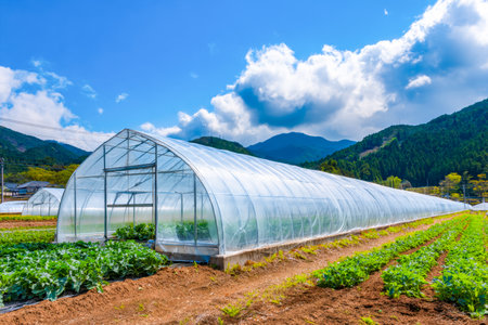 A sleek, contemporary greenhouse stands amid lush fields of vibrant vegetables beneath a clear, bright blue sky, symbolizing sustainable farming innovの写真素材