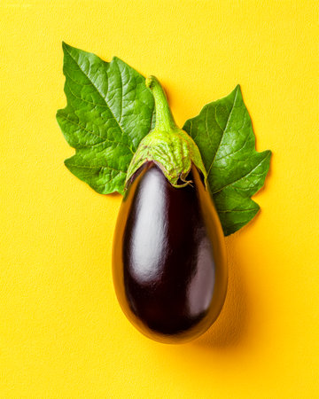 A ripe, glossy purple eggplant nestled among lush green leaves, set against a bright yellow backdrop for a lively and fresh visual appeal.の写真素材