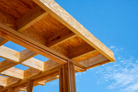 A skeletal wooden structure rising against a bright, cloudless sky, capturing the early stages of a building's assembly in natural light.の写真素材