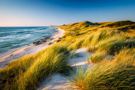 A tranquil shoreline scene capturing windswept grassy dunes fading into a glowing, colorful sky as the sun dips below the horizon, evoking peace and nの写真素材