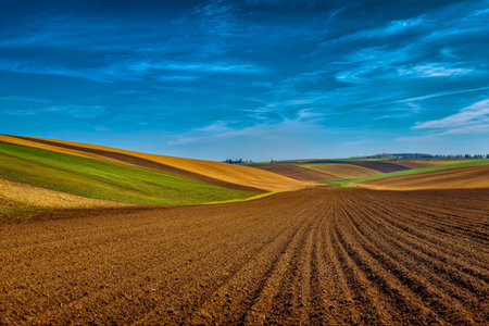 Mosaic of colorful farmland stretches across the landscape, set against a striking, cloudless azure sky that heightens the scene's vivid energy.の写真素材
