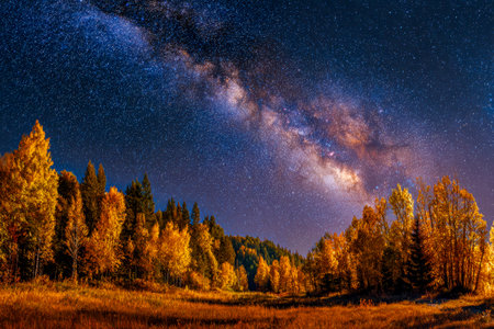 Under a starlit canvas, fiery autumn hues burst through dense treetops as the celestial glow of the...