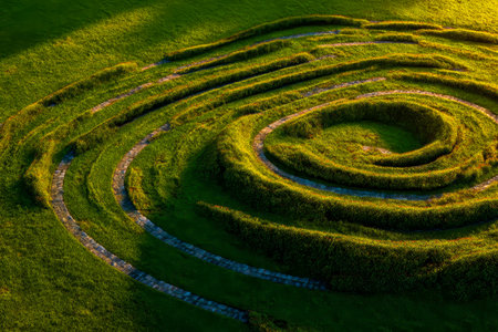 A vibrant, twisting garden filled with verdant hedges and flowing paths that create a mesmerizing, harmonious design perfect for peaceful strolls and outdoor inspiration.の写真素材